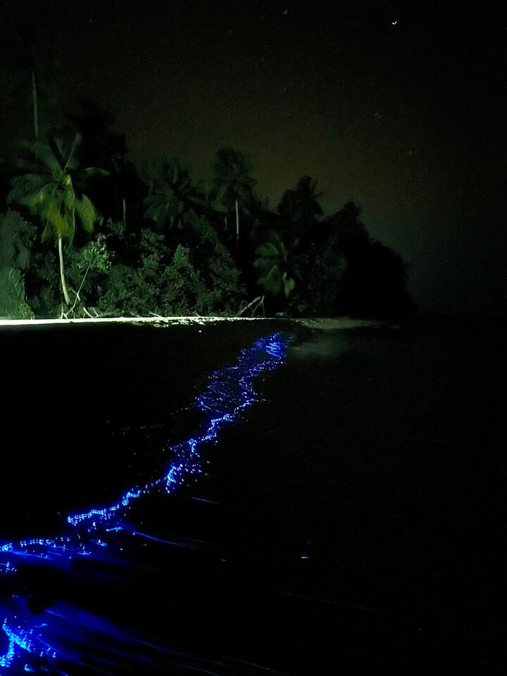 Kudafari Strandhaus – Sea of Stars