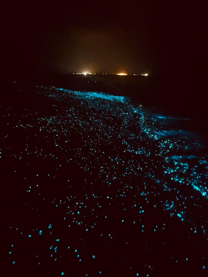 Strandhaus Kudafari - Sea of Stars Biolumineszenz Maldives