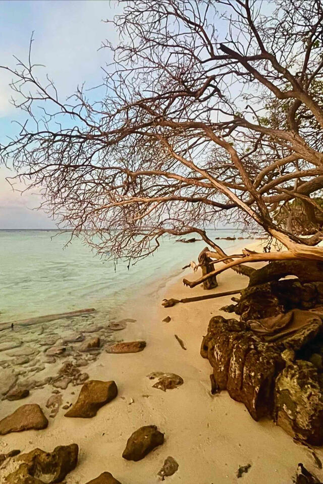 Kudafari Beach House – Strand